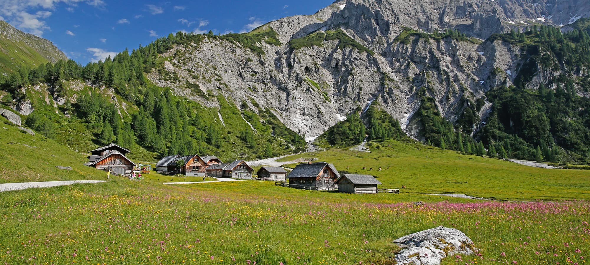 Blick auf frisch präparierter Piste in der Skiregion Schladming Dachstein