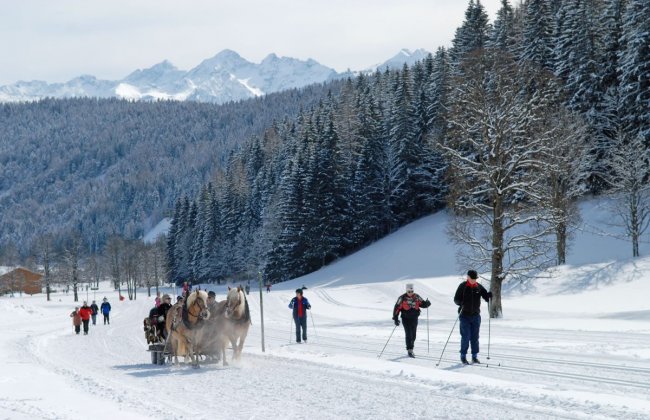 Pehab's Winterwander-Guide