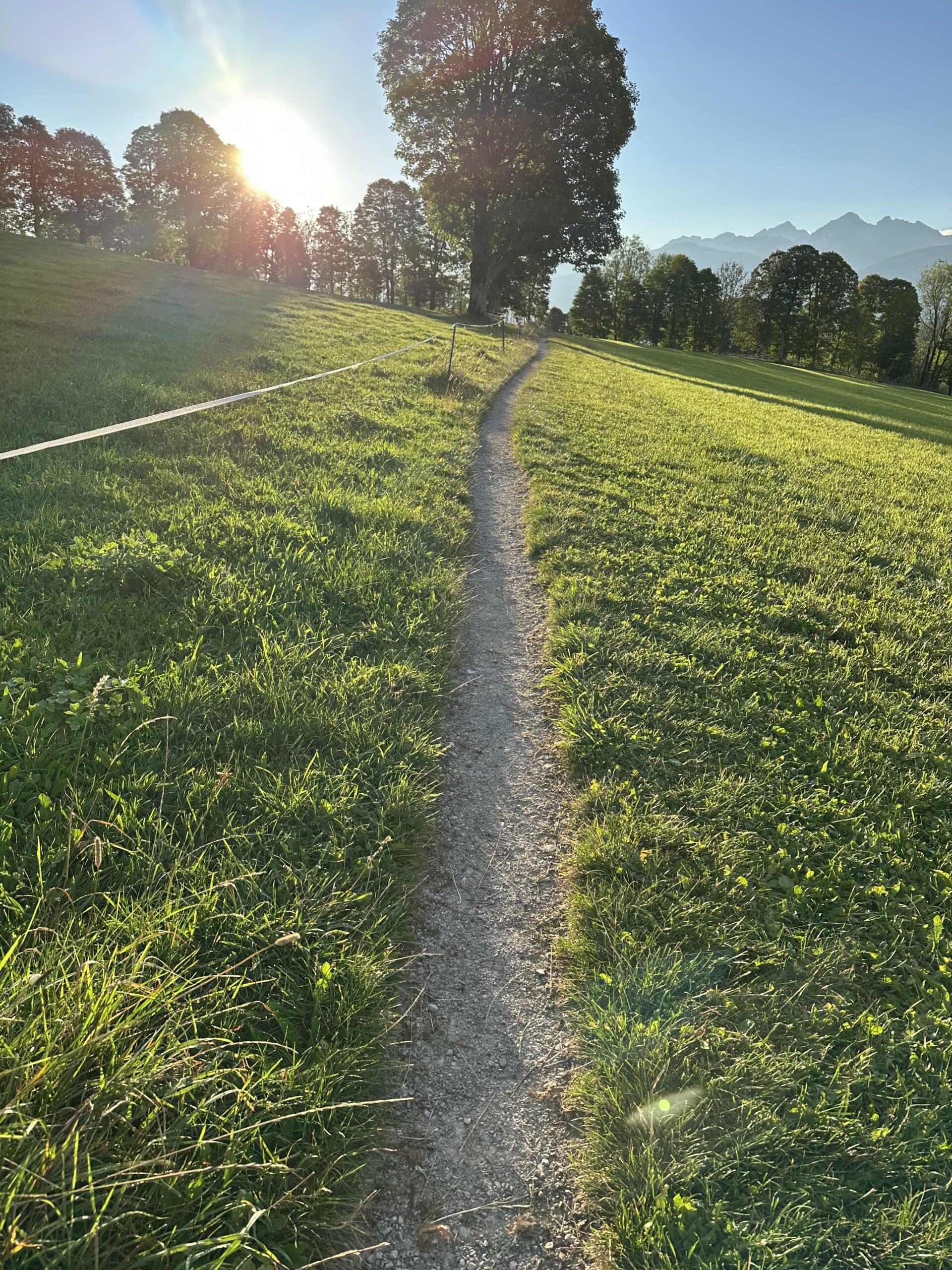 Schmaler Wanderpfad durch eine sonnige Alpenwiese in Ramsau am Dachstein.