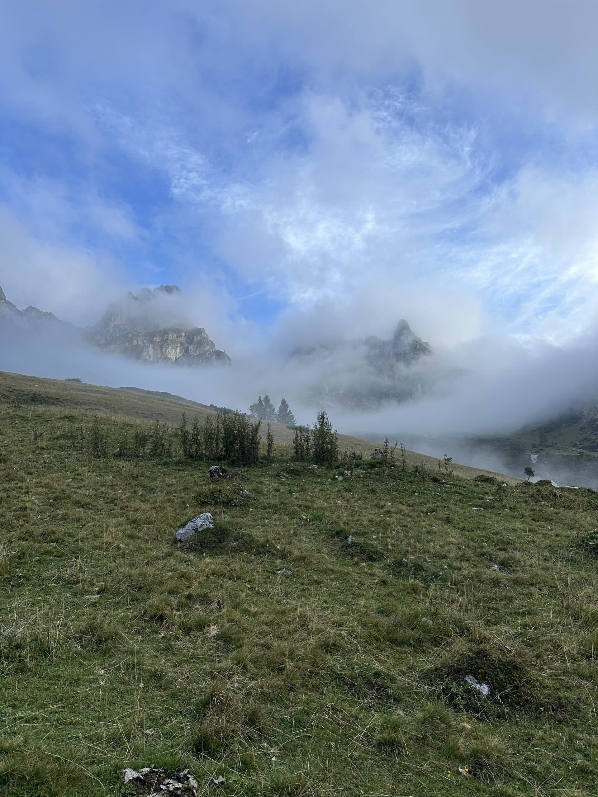 Weite grüne Almwiese mit Nebel und Blick auf die Dachstein-Bergwelt nahe dem Hotel Pehab.